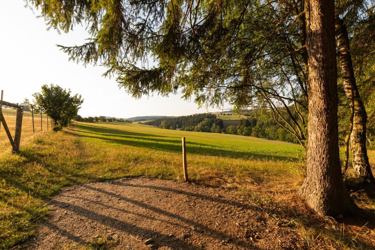 Waldgasthof & Hotel Am Sauwald Tannenberg Esterno foto