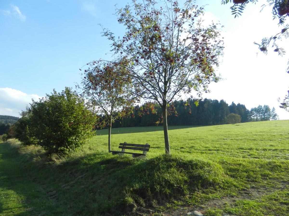 Waldgasthof & Hotel Am Sauwald Tannenberg Esterno foto