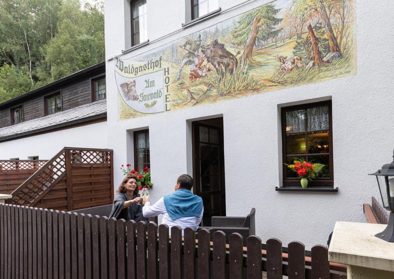Waldgasthof & Hotel Am Sauwald Tannenberg Esterno foto