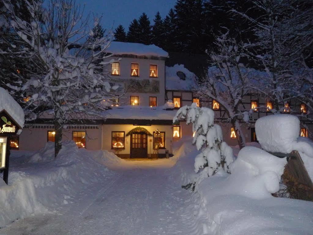 Waldgasthof & Hotel Am Sauwald Tannenberg Esterno foto