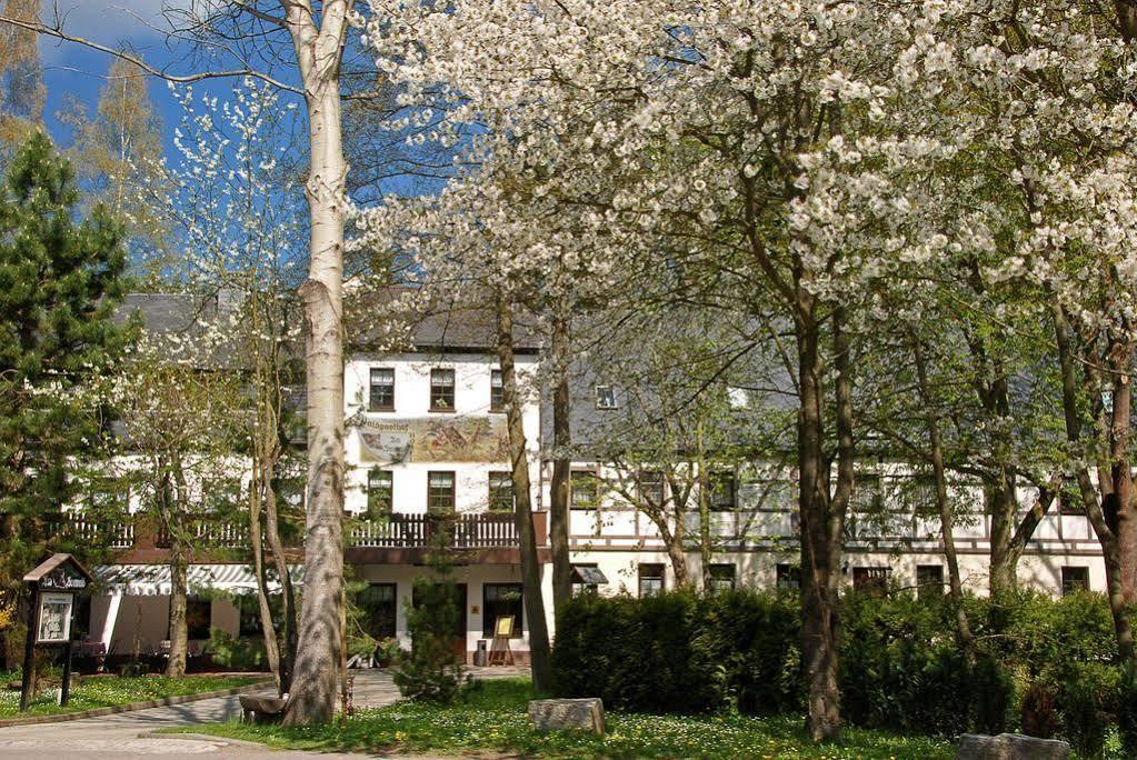 Waldgasthof & Hotel Am Sauwald Tannenberg Esterno foto