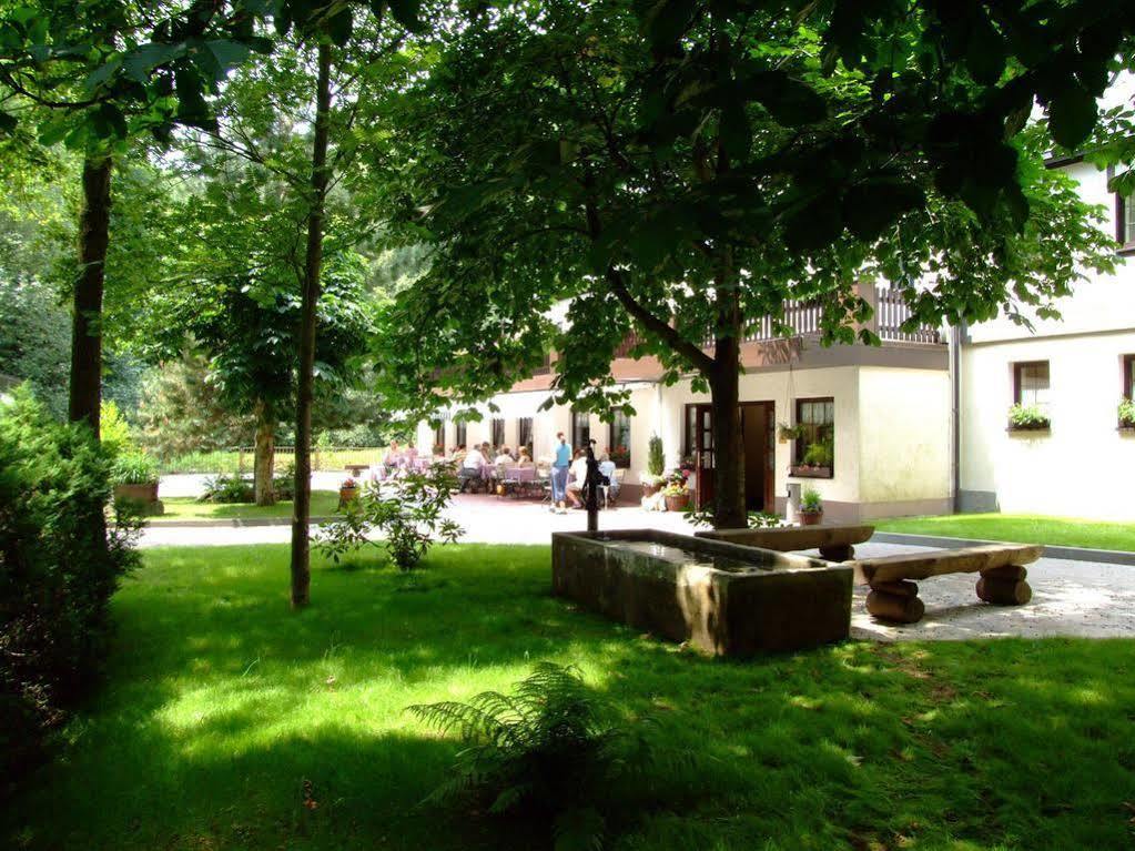 Waldgasthof & Hotel Am Sauwald Tannenberg Esterno foto