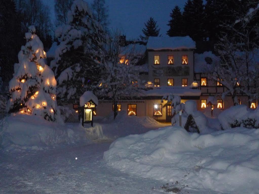 Waldgasthof & Hotel Am Sauwald Tannenberg Esterno foto